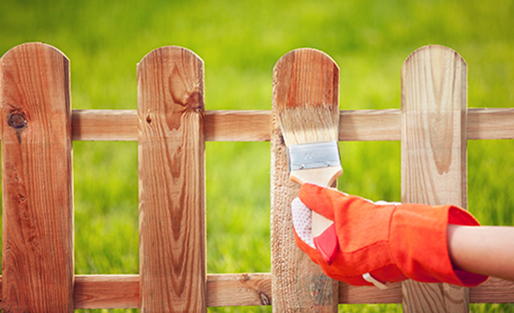 Applying Protective Varnish To A Wooden Fence